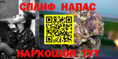 гидра Ливны